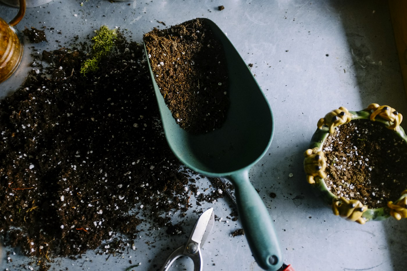 Plantas e utensílios de jardinagem num espaço de cultivo