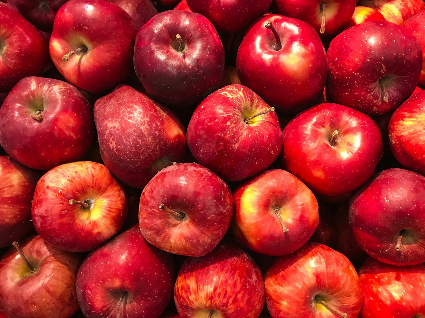 Maçãs vermelhas frescas antes da preparação